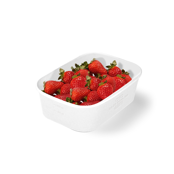 OSQ CASE BOWL 660 WHITE EDITION 2491