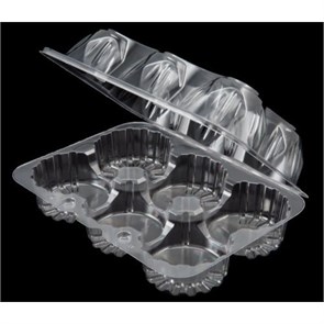 {{photo.Alt || photo.Description || 'Контейнер для корзинок РК-1861  прямоуг 190х139х65 6-секц прозрачный'}}