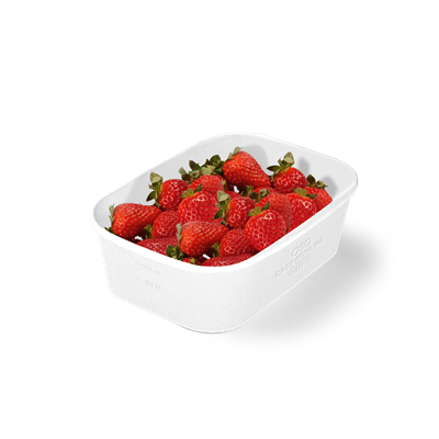 {{photo.Alt || photo.Description || 'OSQ CASE BOWL 660 WHITE EDITION'}}