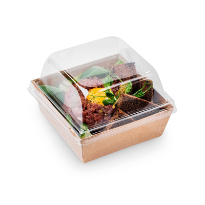 {{photo.Alt || photo.Description || 'OSQ SMARTPACK 550'}}