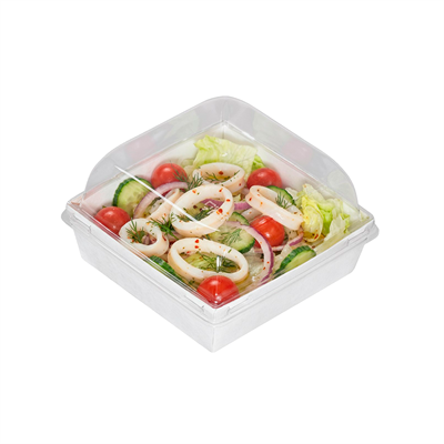 {{photo.Alt || photo.Description || 'OSQ SMARTPACK 800 WHITE EDITION'}}