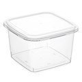 Контейнер квадратный 300 мл (92х92х57) (387 шт.) ВЗЛП комплект 1556пкп 2464